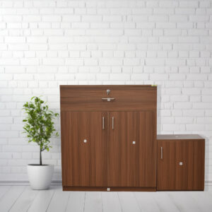 Sacony Engineered Wood Shoe Rack, Cabinet, Storage, Rack, with Door